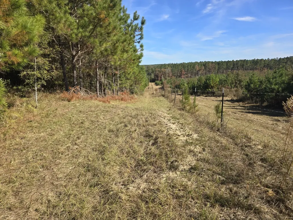 1228 River Road Ariton AL 36311