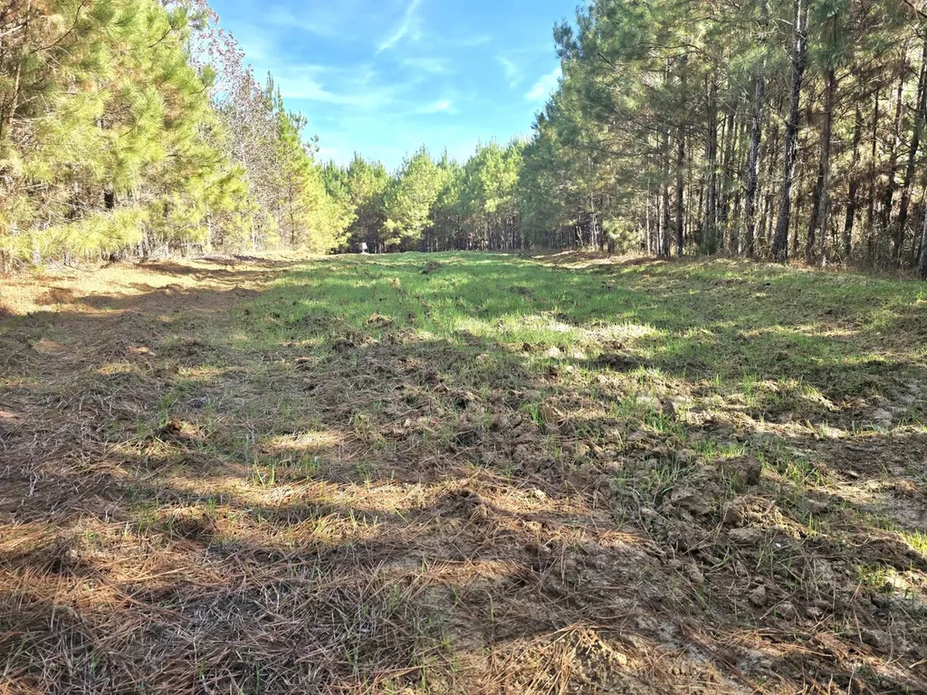 1228 River Road Ariton AL 36311