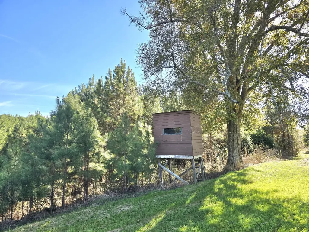 1228 River Road Ariton AL 36311