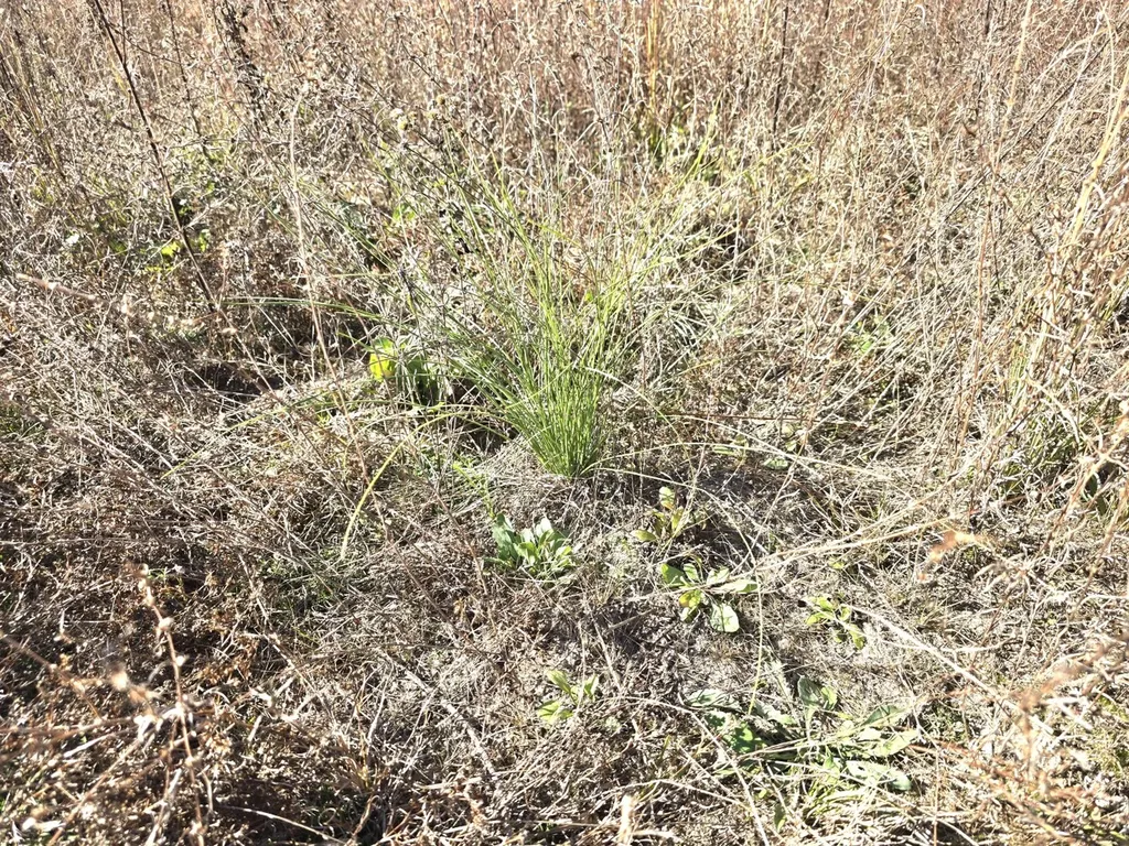 1228 River Road Ariton AL 36311