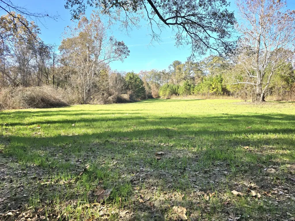 1228 River Road Ariton AL 36311