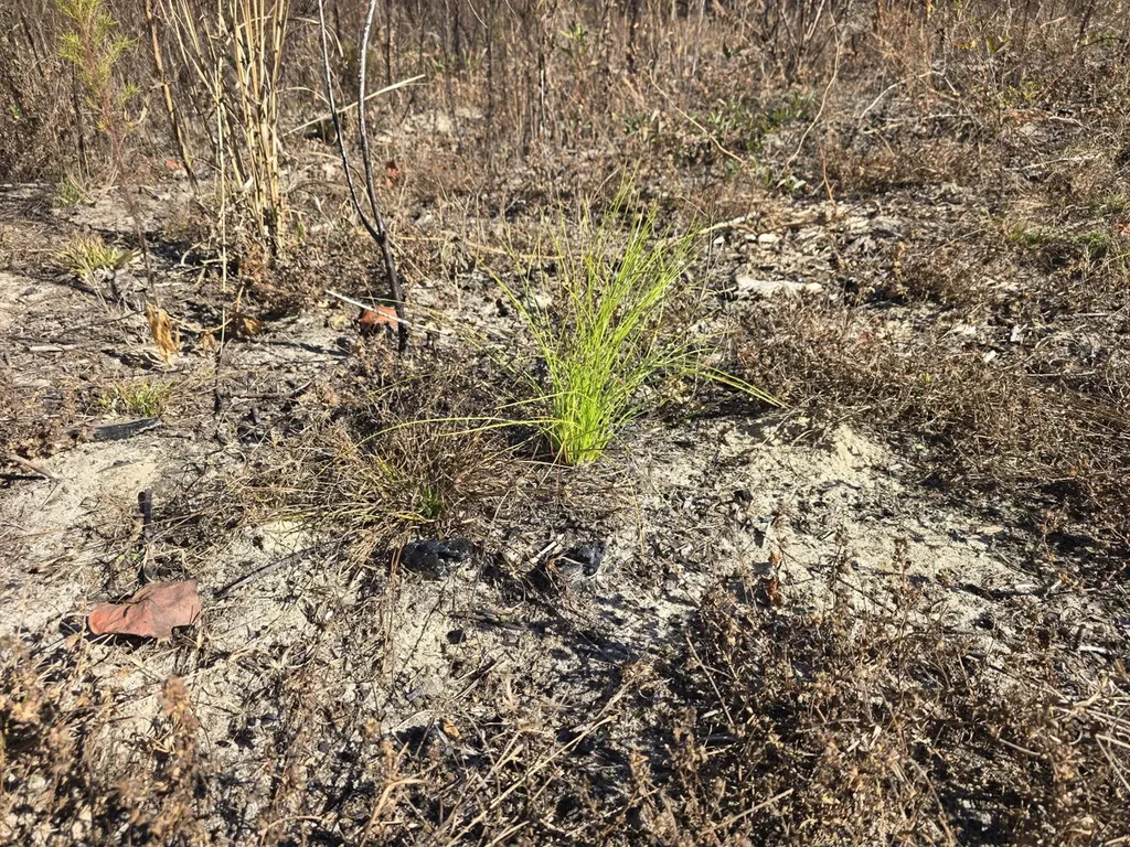 1228 River Road Ariton AL 36311