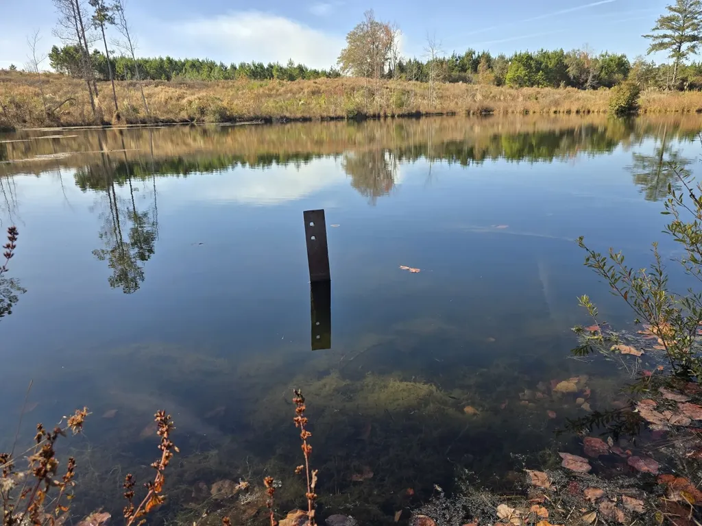 1228 River Road Ariton AL 36311