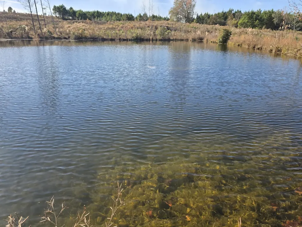 1228 River Road Ariton AL 36311