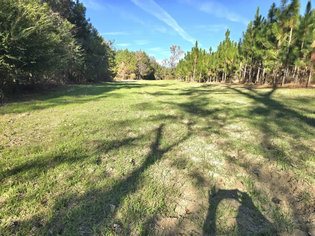 1228 River Road Ariton AL 36311