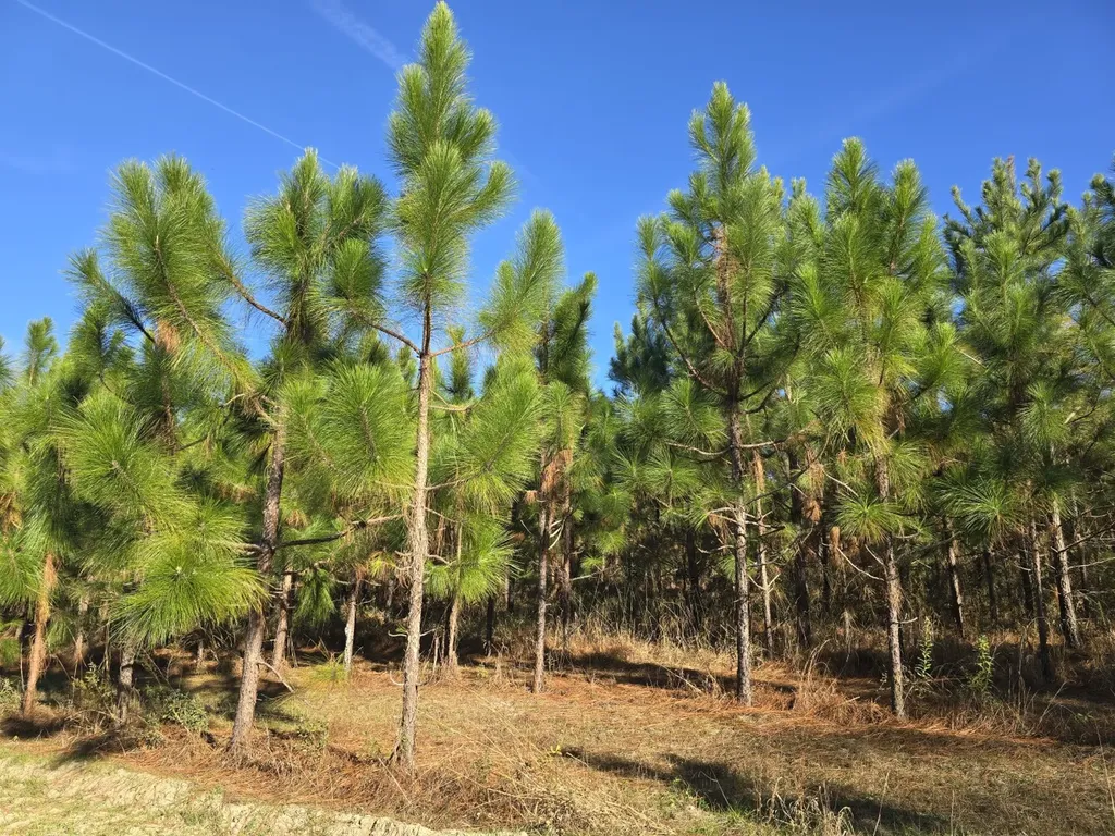 1228 River Road Ariton AL 36311