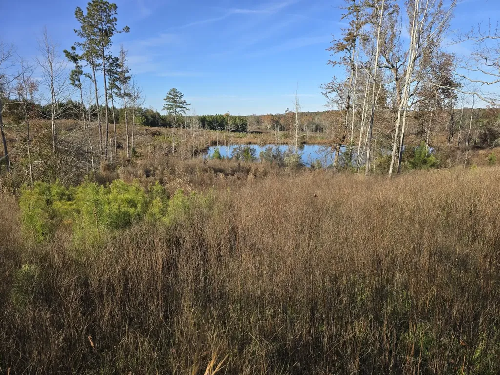 1228 River Road Ariton AL 36311