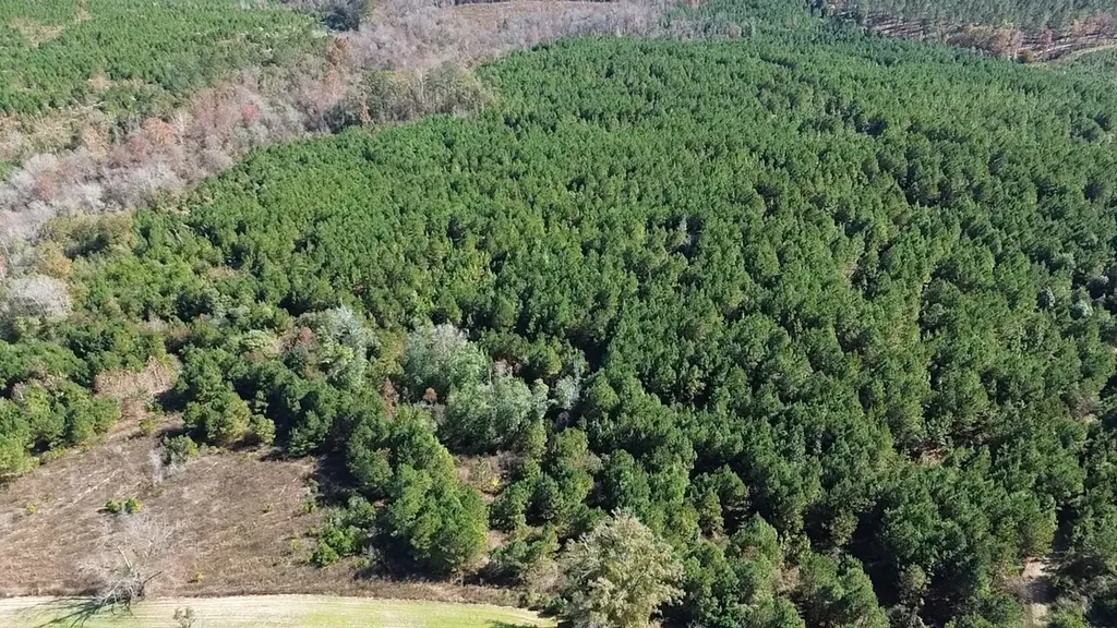 1228 River Road Ariton AL 36311