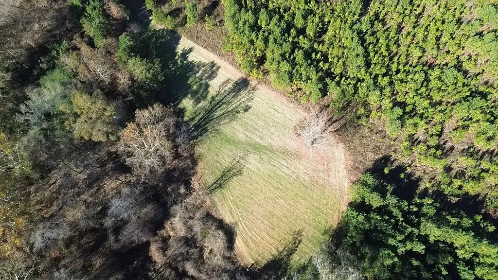 1228 River Road Ariton AL 36311