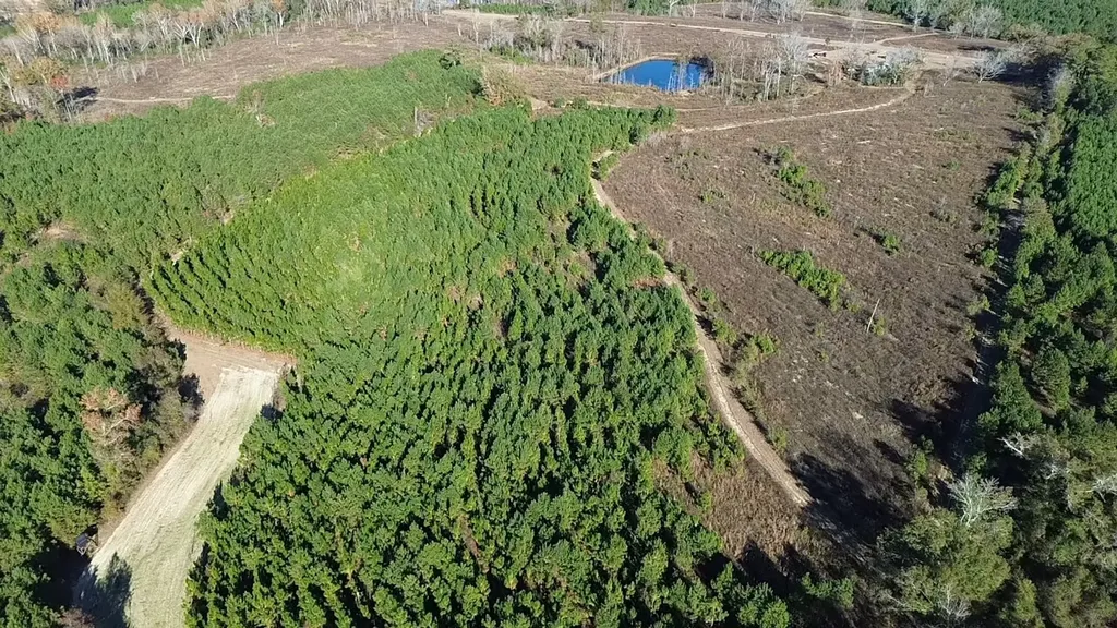 1228 River Road Ariton AL 36311