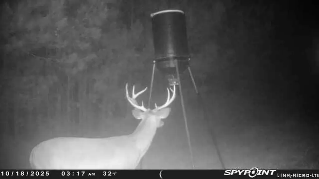 1228 River Road Ariton AL 36311