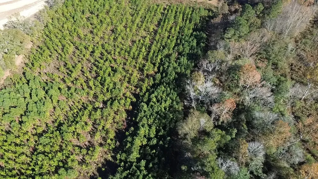 1228 River Road Ariton AL 36311