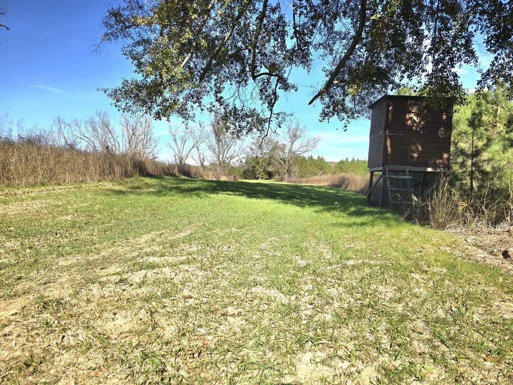 1228 River Road Ariton AL 36311