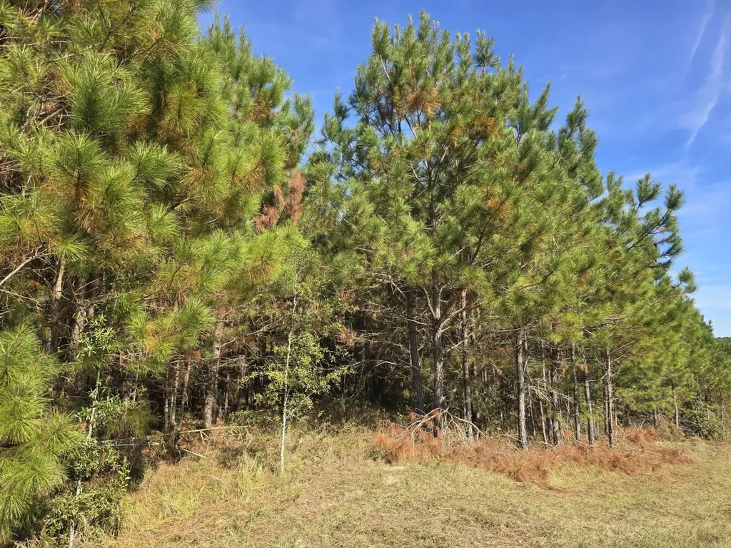 1228 River Road Ariton AL 36311