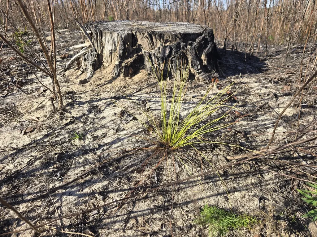 1228 River Road Ariton AL 36311