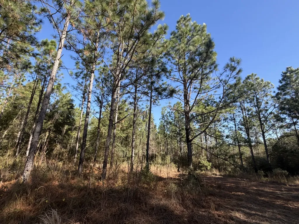 927 Highway 166 Elba AL 36323