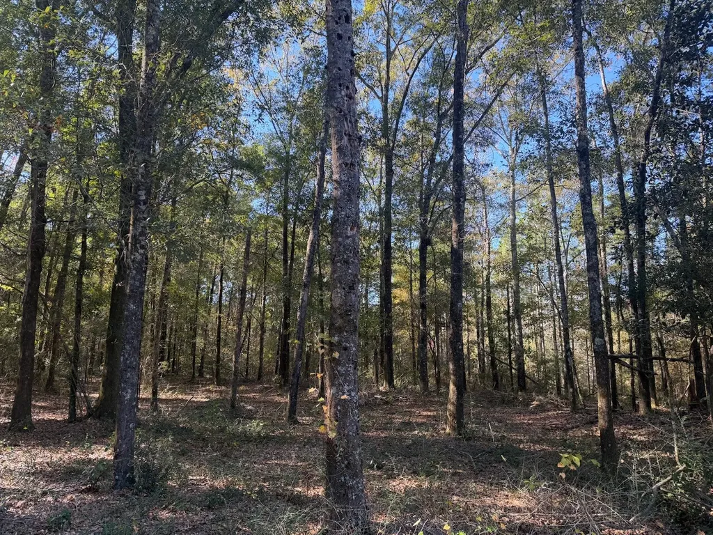 927 Highway 166 Elba AL 36323