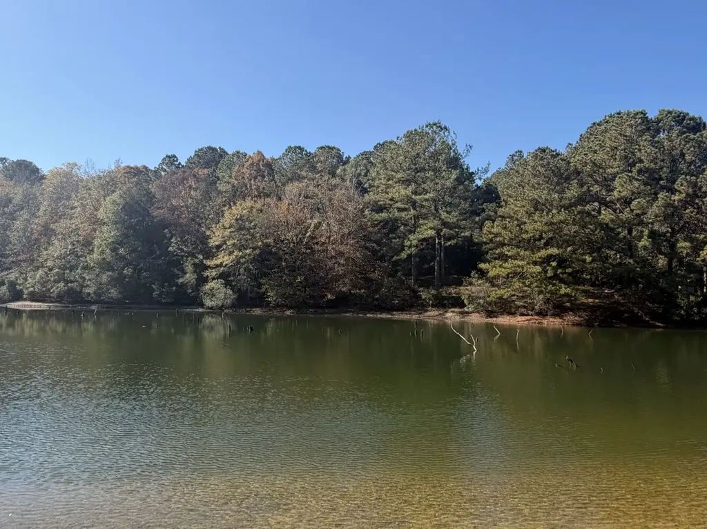 927 Highway 166 Elba AL 36323