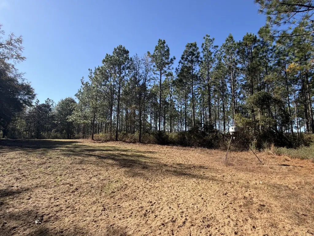 927 Highway 166 Elba AL 36323