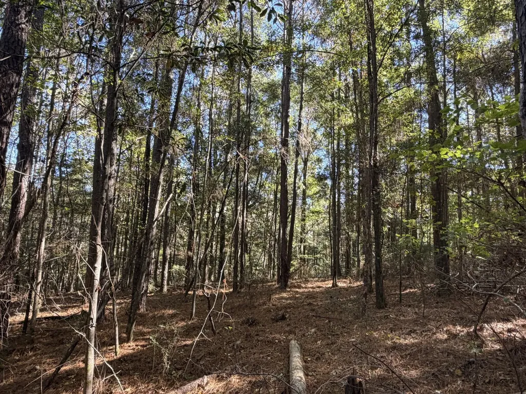 927 Highway 166 Elba AL 36323