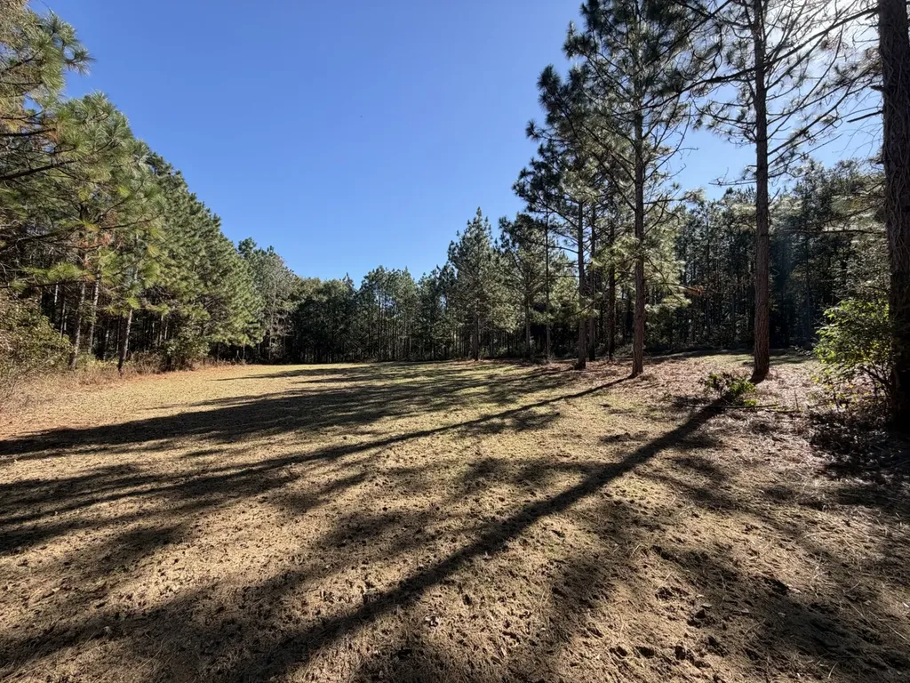 927 Highway 166 Elba AL 36323