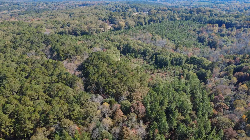 927 Highway 166 Elba AL 36323