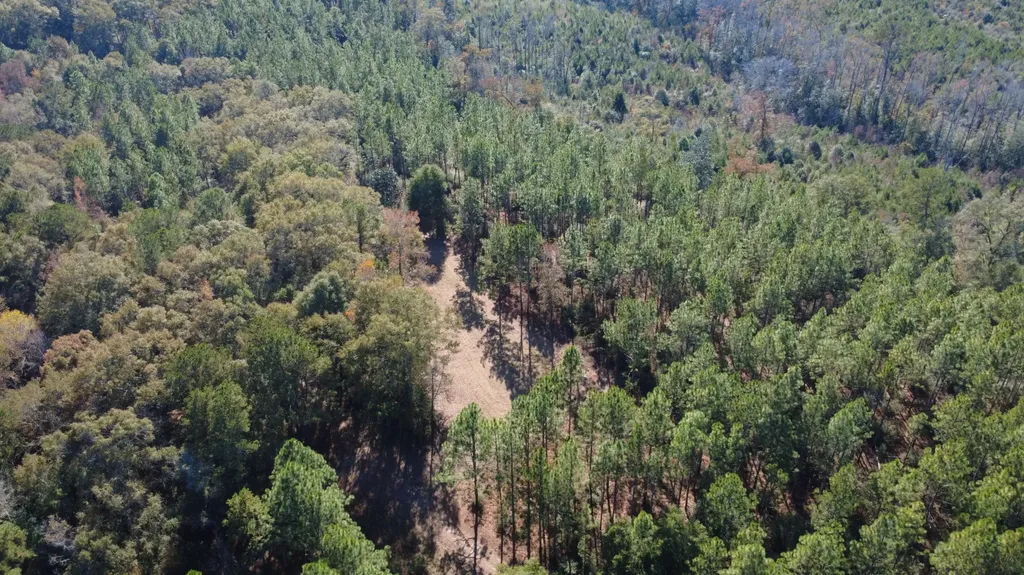 927 Highway 166 Elba AL 36323