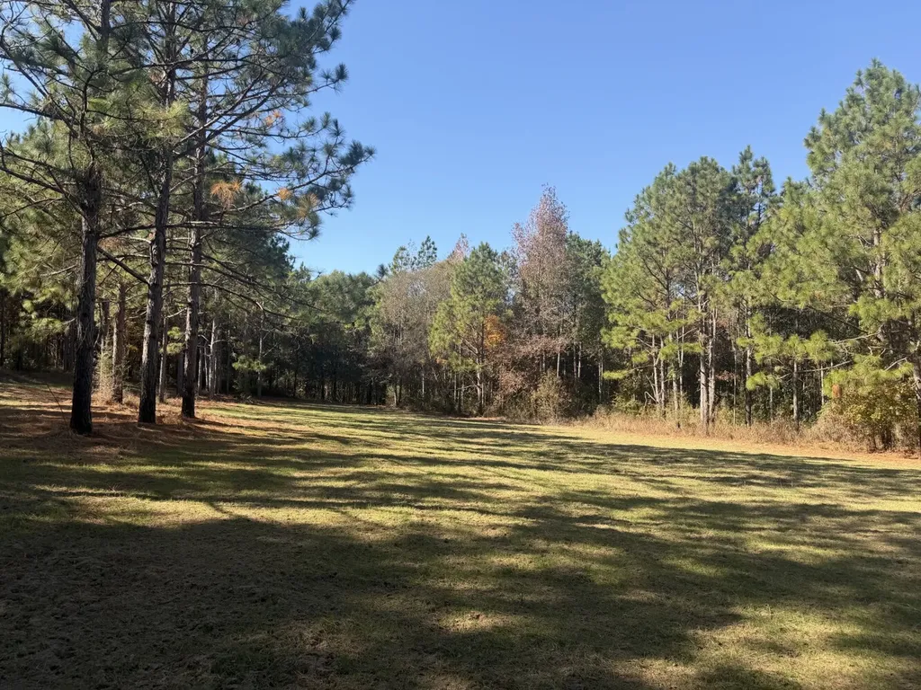 927 Highway 166 Elba AL 36323