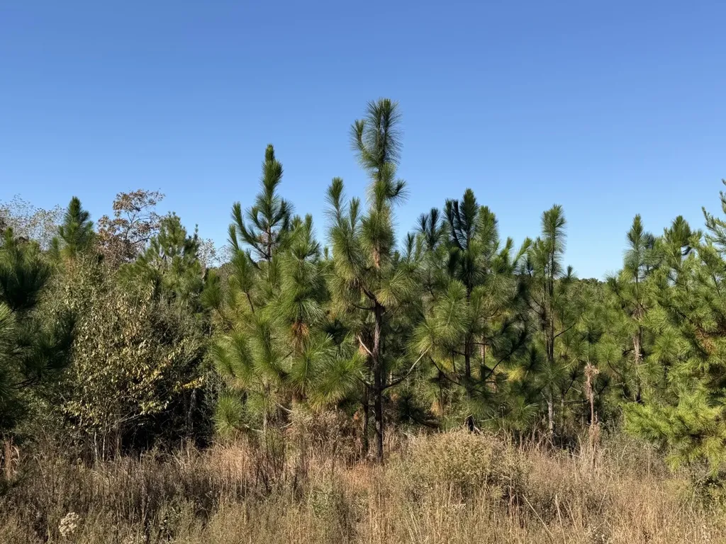 927 Highway 166 Elba AL 36323