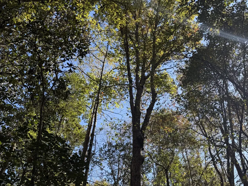 927 Highway 166 Elba AL 36323