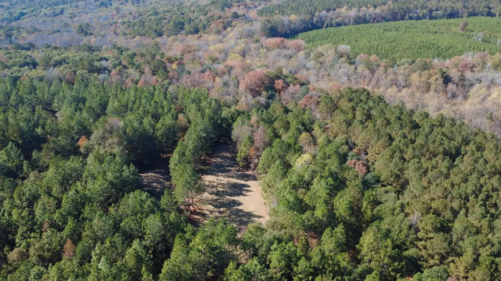 927 Highway 166 Elba AL 36323