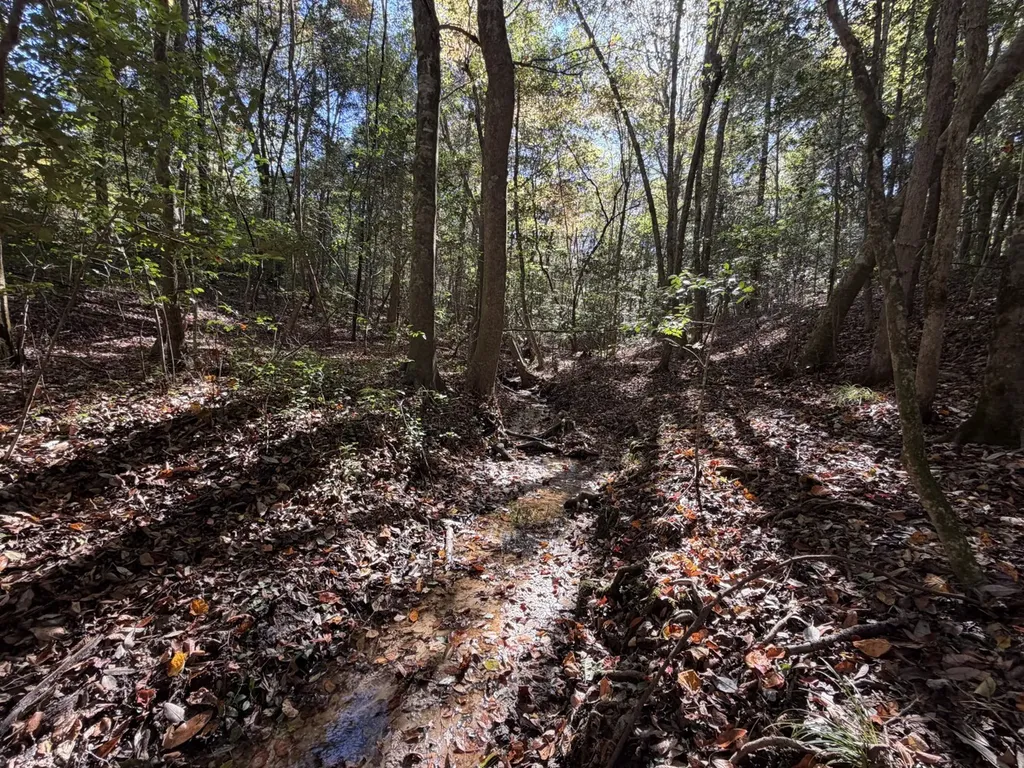 927 Highway 166 Elba AL 36323