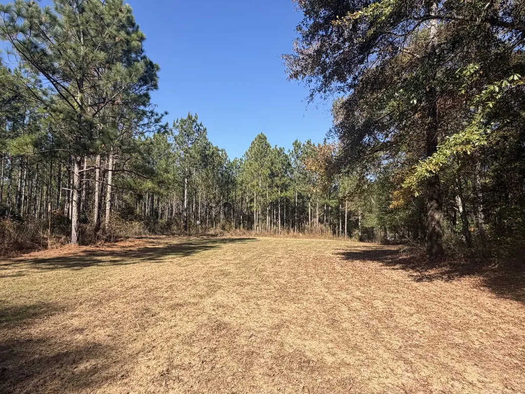 927 Highway 166 Elba AL 36323