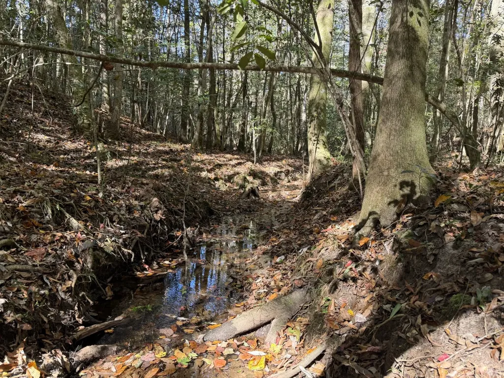 927 Highway 166 Elba AL 36323