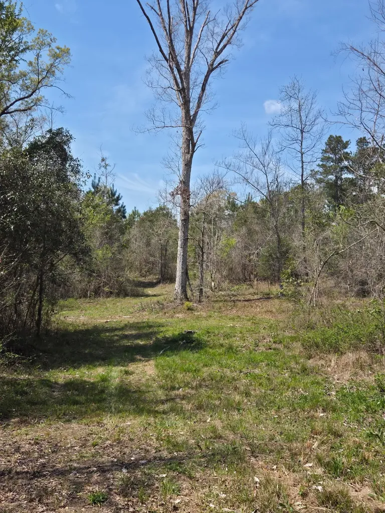 0 Adkins Road Wetumpka AL 36092
