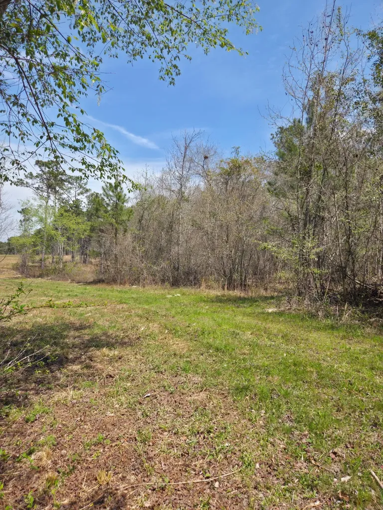 0 Adkins Road Wetumpka AL 36092