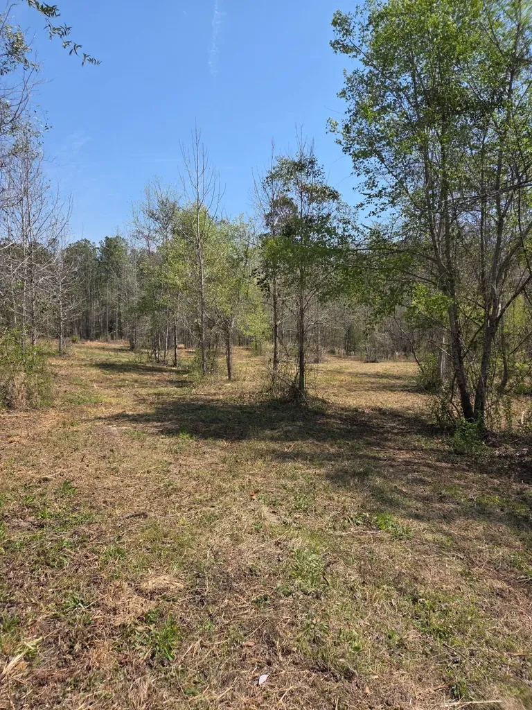 0 Adkins Road Wetumpka AL 36092