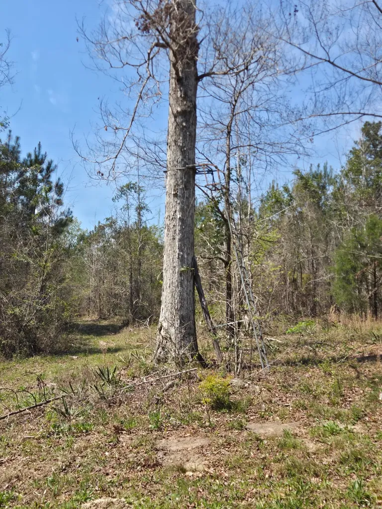 0 Adkins Road Wetumpka AL 36092