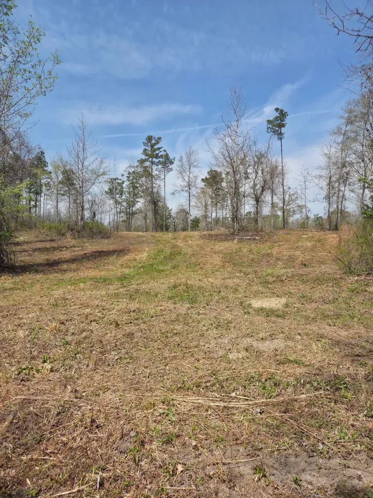 0 Adkins Road Wetumpka AL 36092