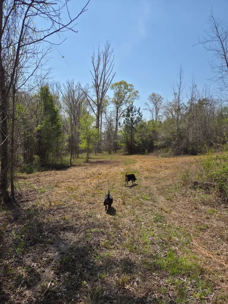 0 Adkins Road Wetumpka AL 36092