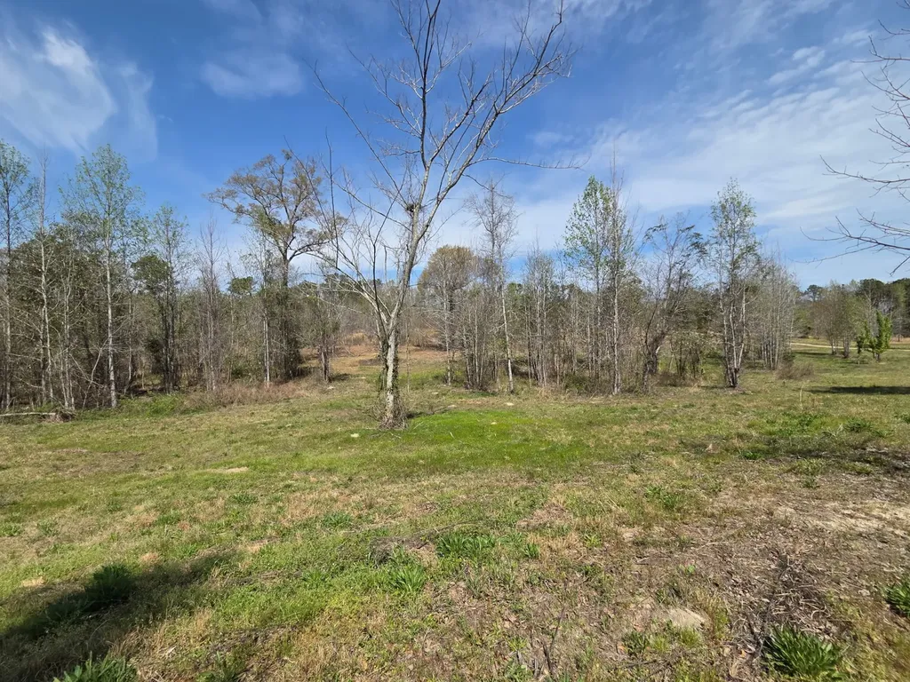 0 Adkins Road Wetumpka AL 36092