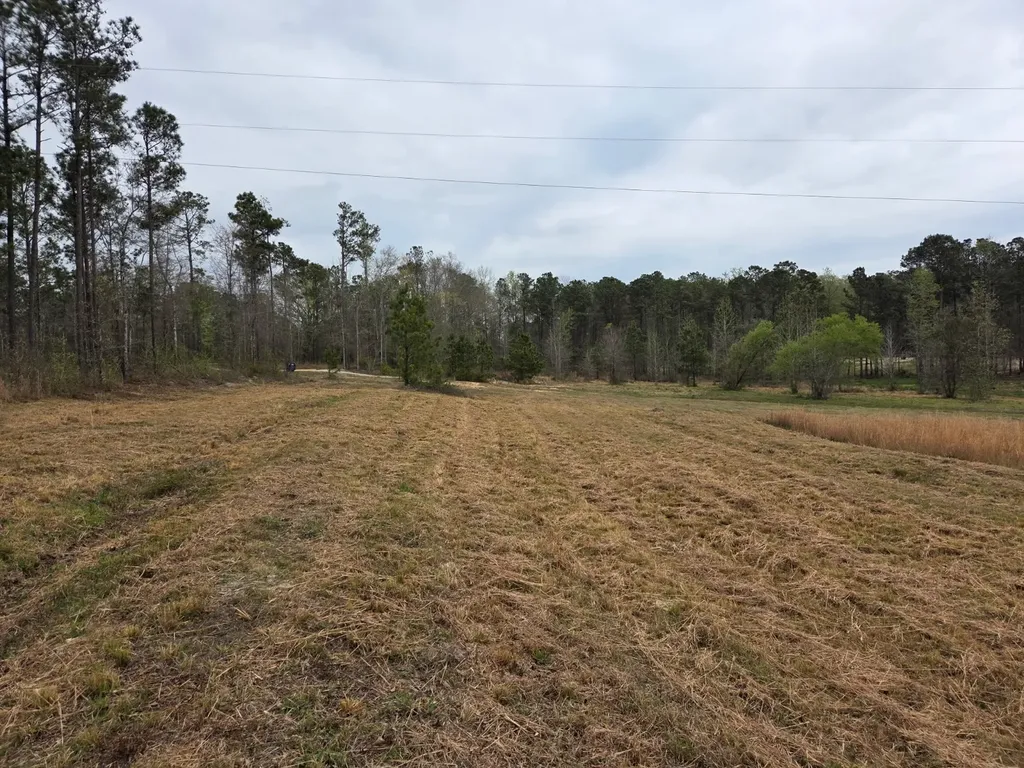 0 Adkins Road Wetumpka AL 36092