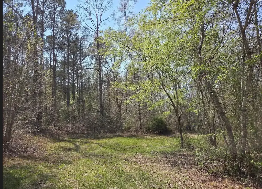 0 Adkins Road Wetumpka AL 36092