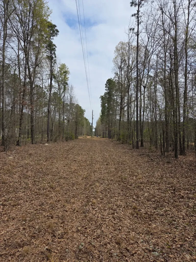 0 Adkins Road Wetumpka AL 36092