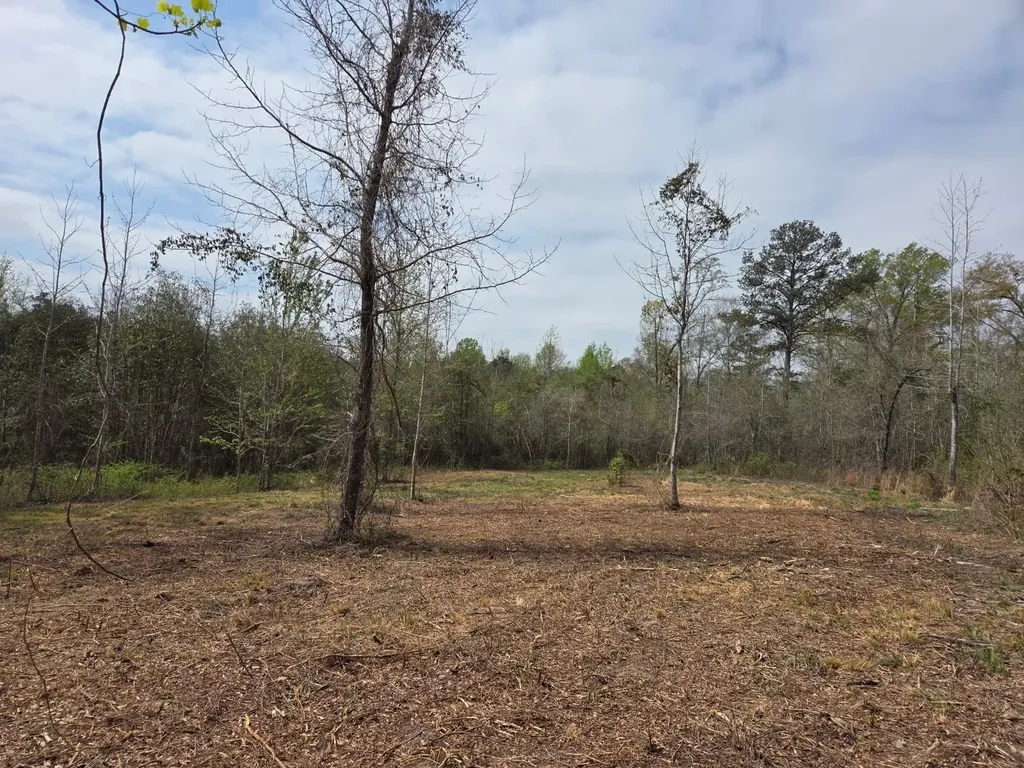 0 Adkins Road Wetumpka AL 36092