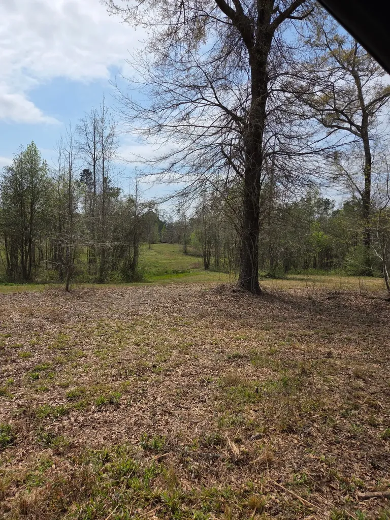 0 Adkins Road Wetumpka AL 36092