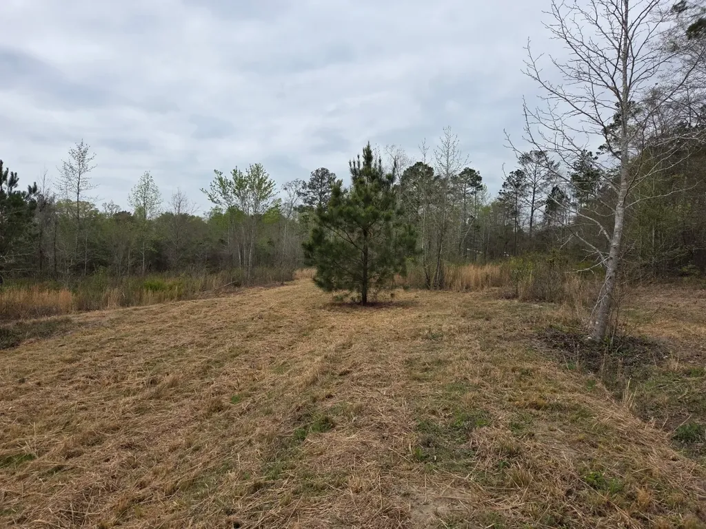 0 Adkins Road Wetumpka AL 36092