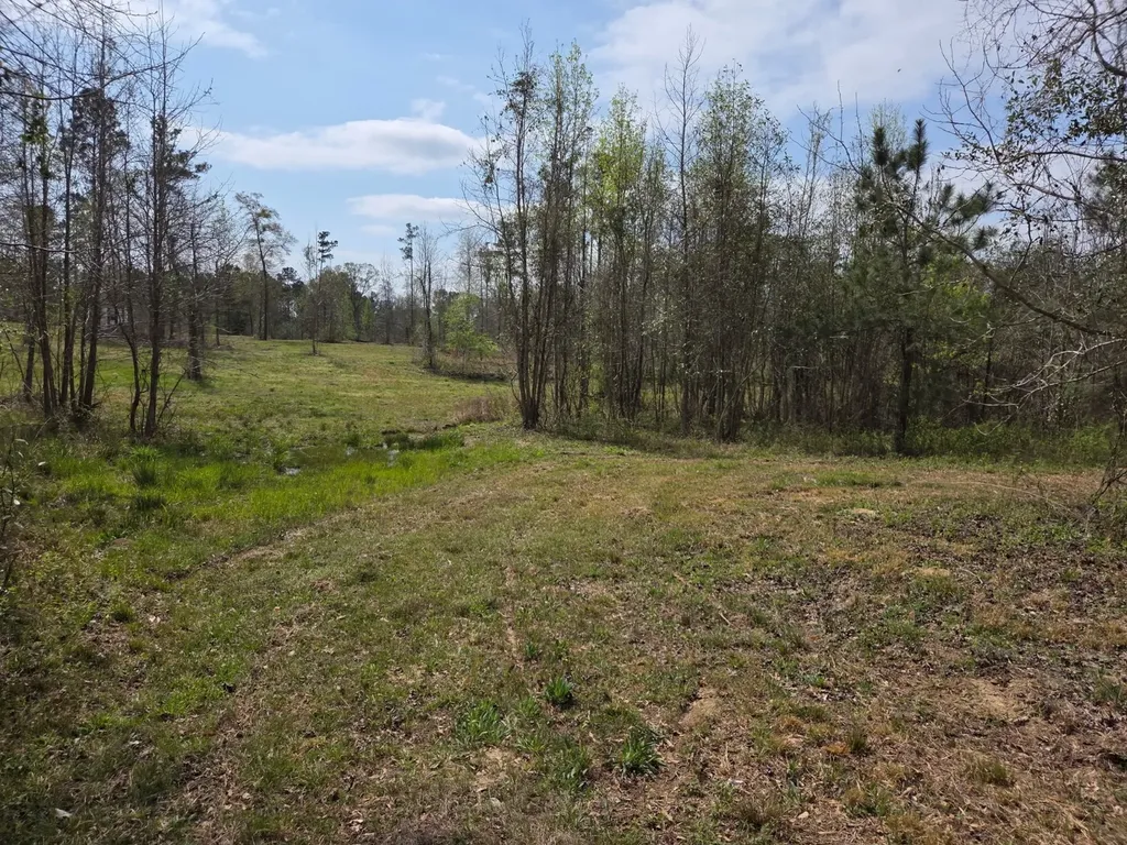 0 Adkins Road Wetumpka AL 36092