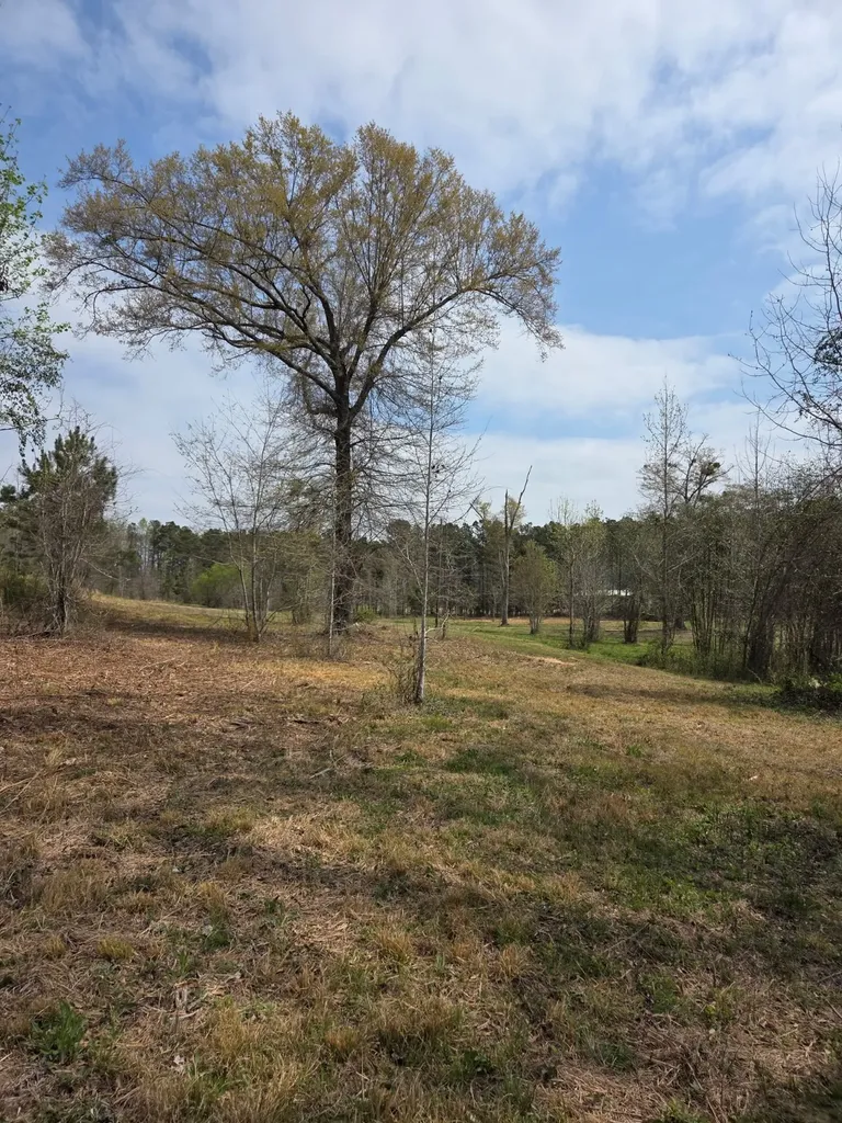 0 Adkins Road Wetumpka AL 36092