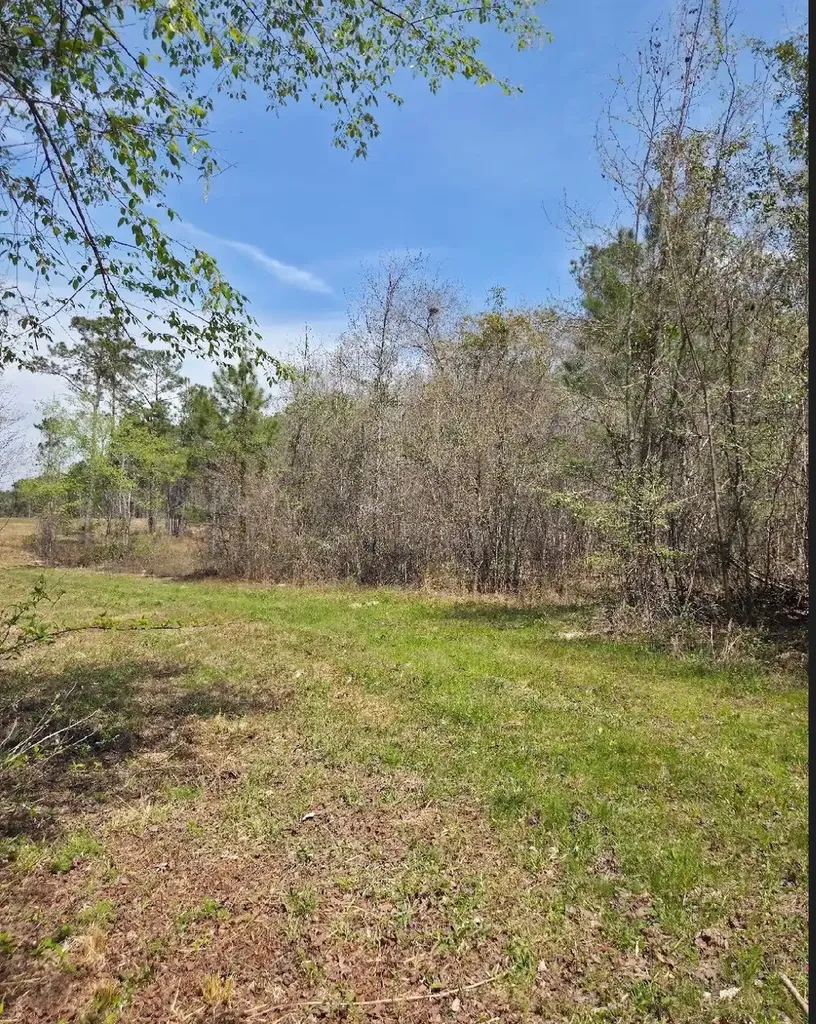 0 Adkins Road Wetumpka AL 36092